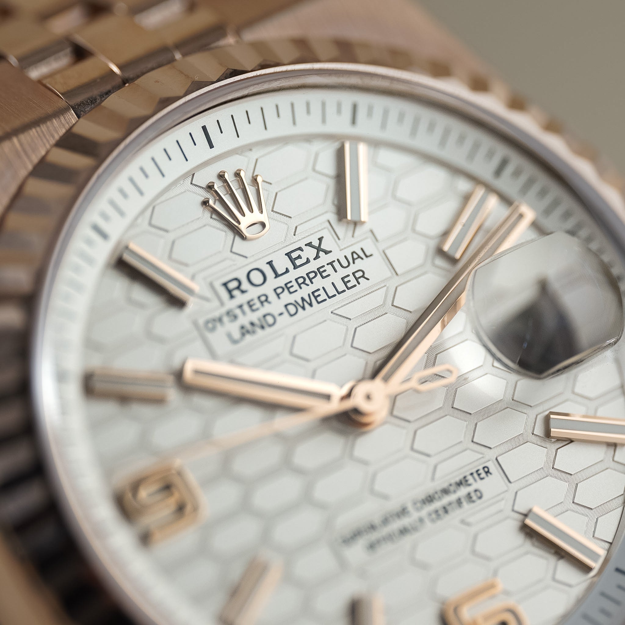 Close-up of a Rolex Oyster Perpetual Land-Dweller watch dial with a textured white patterned face, rose gold-tone hands and markers, and part of the gold-tone Oyster bracelet visible.